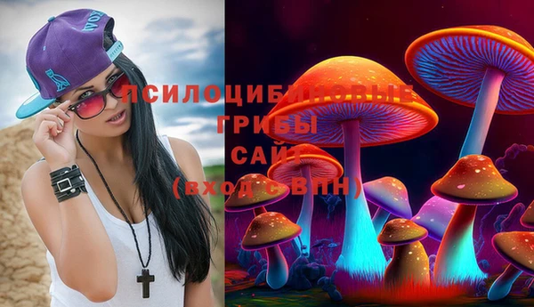 спайс Алзамай