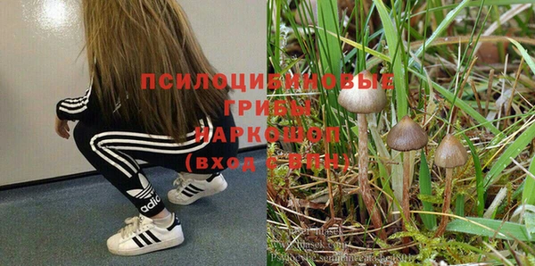 трава Алексеевка