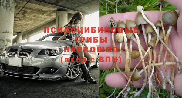 соль ск Абдулино