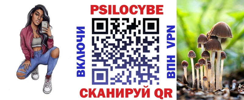 Галлюциногенные грибы Psilocybe  хочу наркоту  Серафимович 